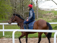 BP140425-7 - Squire Danagher (red hat)